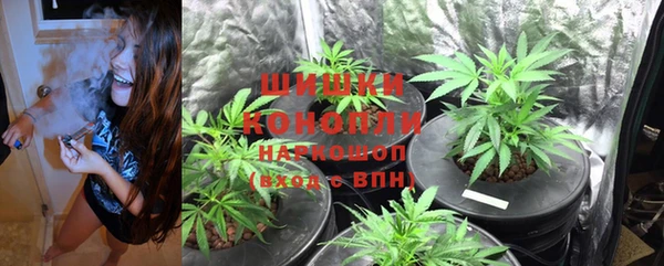 бошки Ладушкин