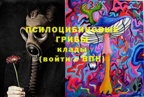 ПСИЛОЦИБИНОВЫЕ ГРИБЫ Кулебаки