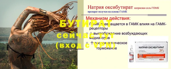 ПСИЛОЦИБИНОВЫЕ ГРИБЫ Кулебаки