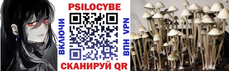 Псилоцибиновые грибы Psilocybine cubensis  Пикалёво 