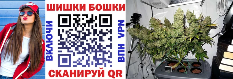 Конопля SATIVA & INDICA  Пикалёво 